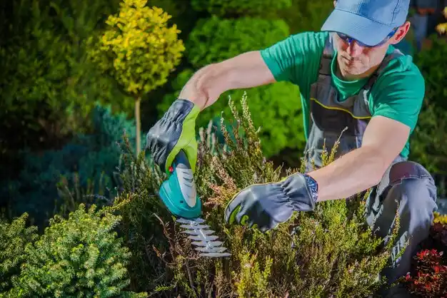 landscaping services Horn Lake